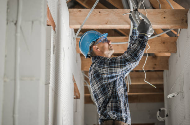 Best Electric Panel Repair  in Tyndall, SD